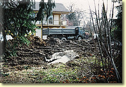 Gartenbereich vor der Umgestaltung