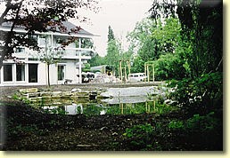 Nach der Umgestaltung mit naturnahem Gartenteich